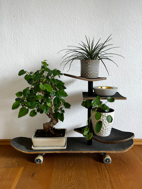 Skateboardregal